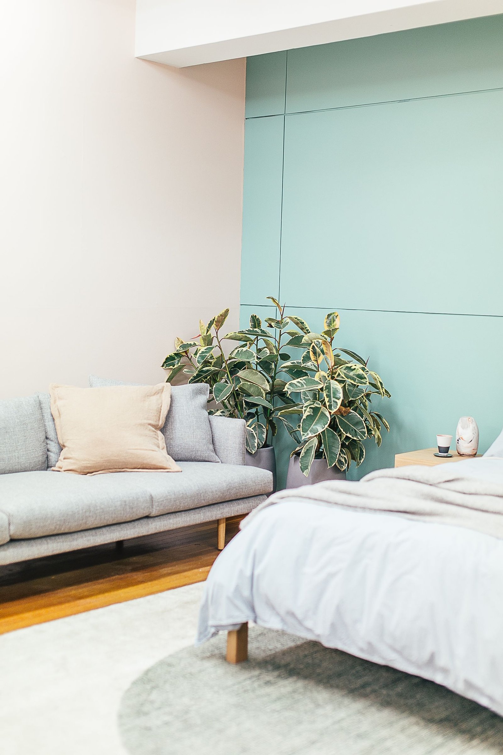 Light-filled bedroom with fresh bedding, a sofa and indoor plants